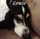 Louie Dodd .2002-2015
